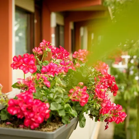 Campanile & Restaurant Hotell 3*