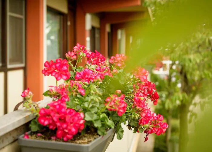 Campanile & Restaurant Hotel 3*