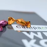 Campanile & Restaurant 3* 벤로